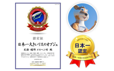 「ドン・グリス」が日本一認定されました！
